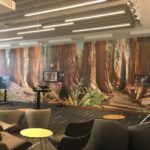 Redwood forest mural in an office