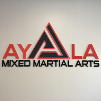 Mixed Martial Arts logo