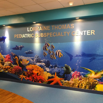 Underwater sea life mural