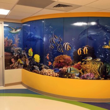 Underwater sea life mural in an office