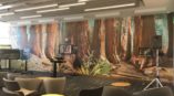 Redwood forest mural in an office