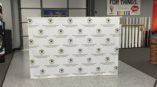 Primrose School of Frisco step and repeat banner