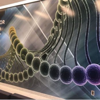 Cell DNA wall graphic 
