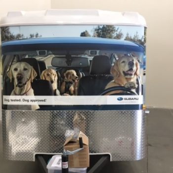 Dogs Subaru vehicle fleet wrap 
