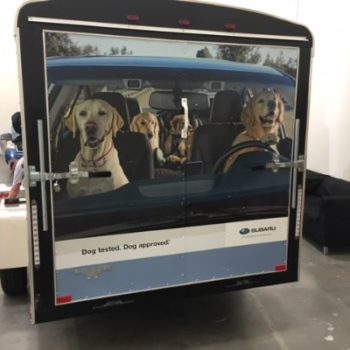 Subaru vehicle fleet warp dogs rearview 