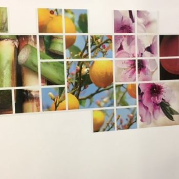 Fruits and vegetables wall graphics 