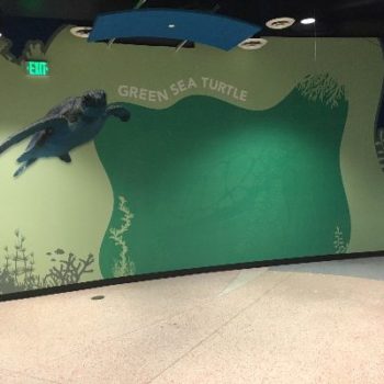 Ocean Voyage wall graphics green sea turtle 