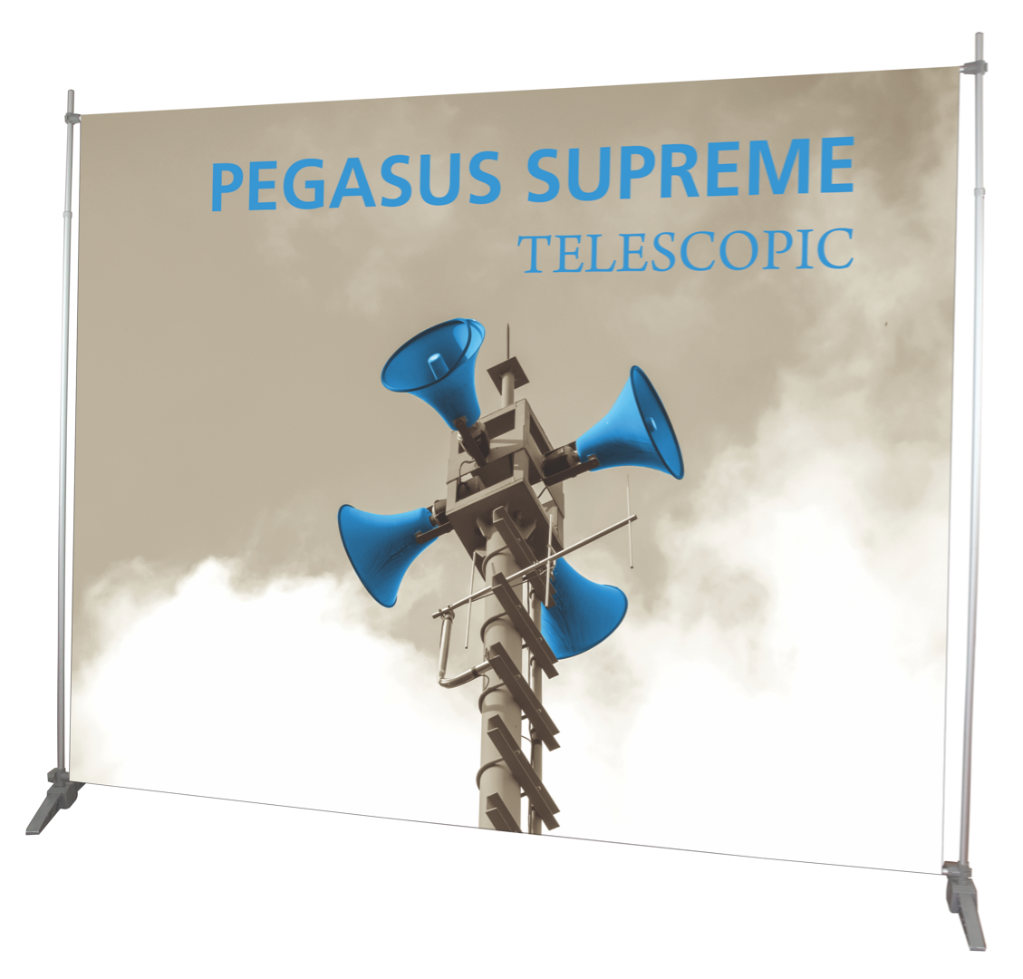 Pegasus <span>Standard</span>