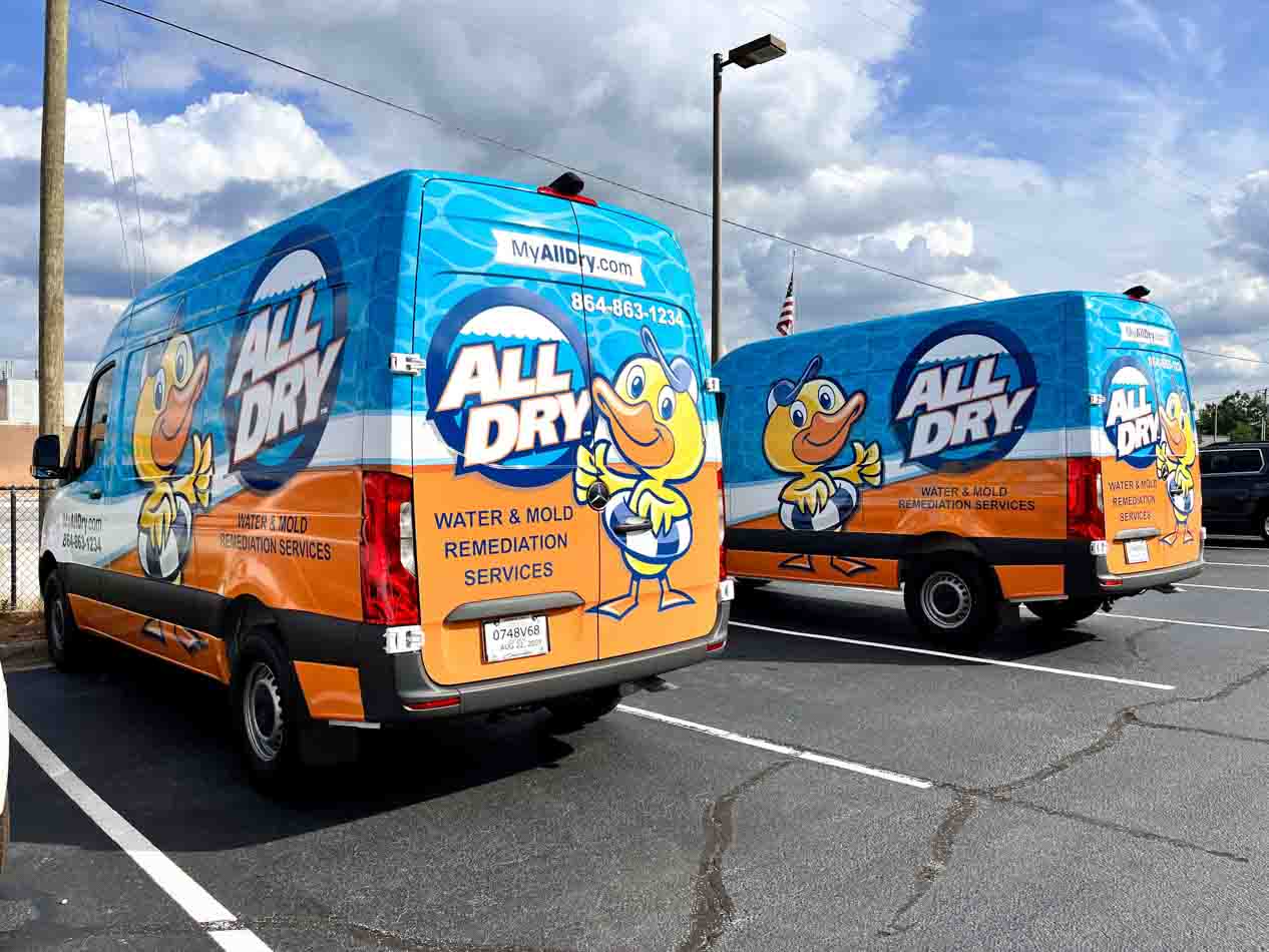 Full van wraps for All Dry's fleet with duck logo and beach theme.