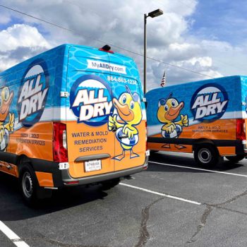 Full van wraps for All Dry's fleet with duck logo and beach theme.