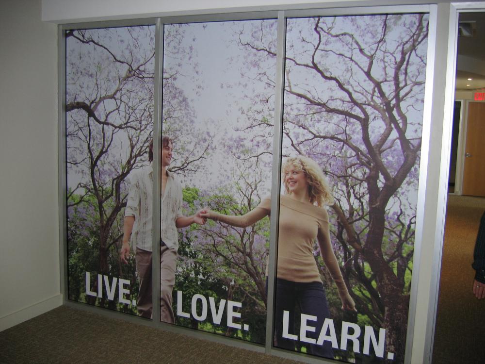 Live. Love. Learn. window graphics