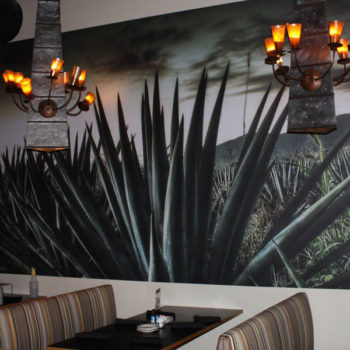 Restaurant wall mural with agave plant on it