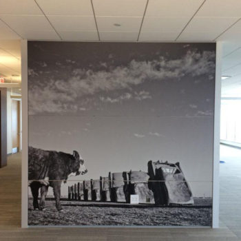 Office wall mural that has a cow at the Cadillac ranch on it