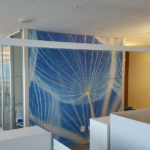 Office wall mural with close up of white dandelion