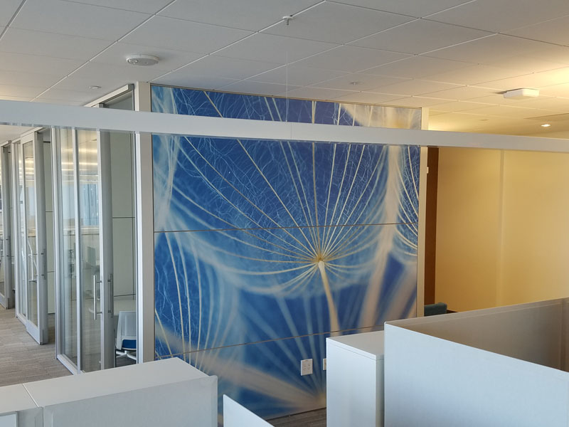 Office wall mural with close up of white dandelion