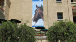 Large horse-themed banner displayed on building exterior