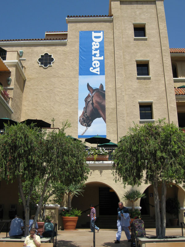 Darley banner with horse on it hanging on the side of a building