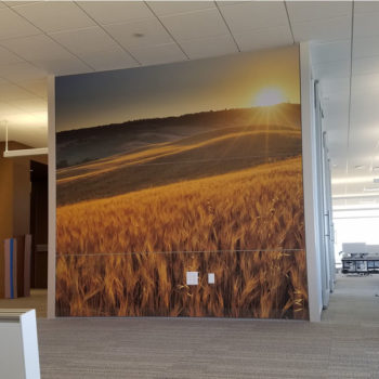 wall graphic of wheat field at sunset