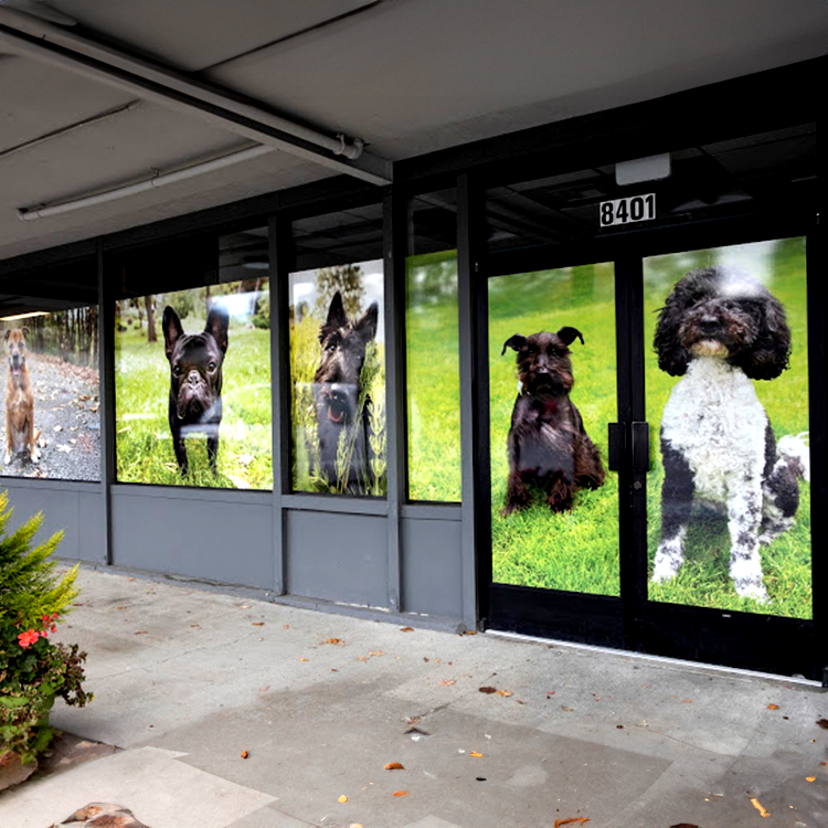 SpeedPro Lake County Illinois Vinyl Window Graphics