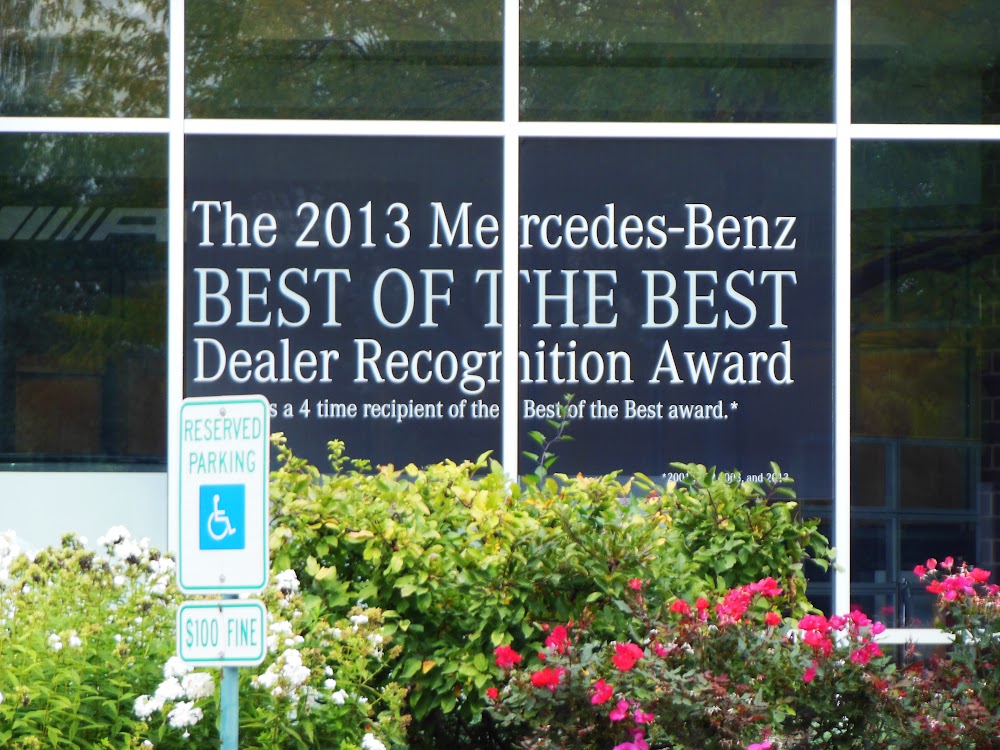 Large window film with white text applied to glass storefront behind bushes in Chicago, IL.
