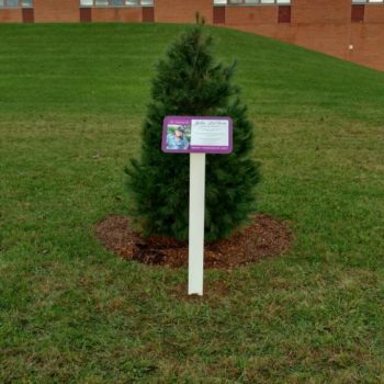 memorial tree outdoor signage