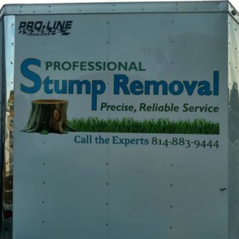 Professional Stump Removal trailer wrap