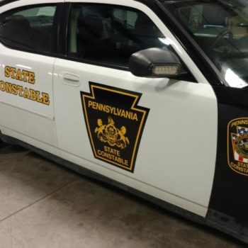 State Constable vehicle decal