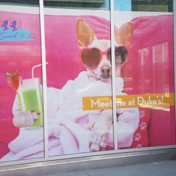 Dog holding drink and wearing sunglasses window graphic