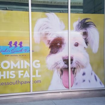 Dog with tongue out window graphic