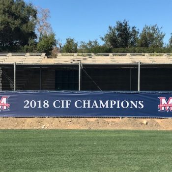 Baseball champions banner