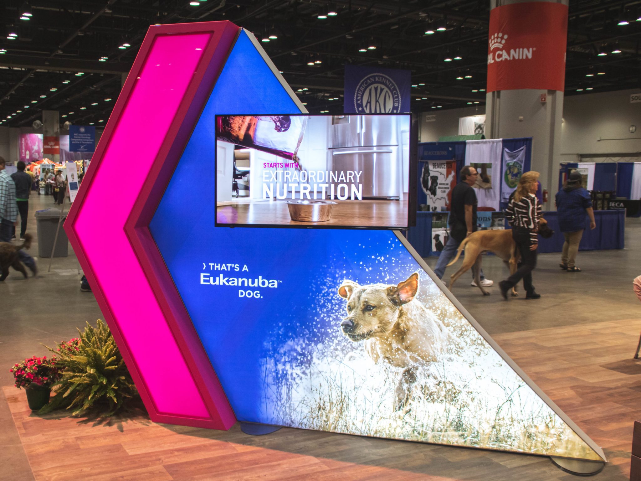 Advertising display device showcasing a backlit digital screen