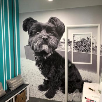A black and white wall mural of a small dog sitting on carpet