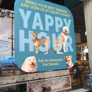 Creative window graphic with dogs on it