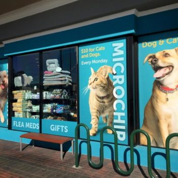 Window graphics with dogs and a cat on them