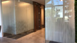 Window graphics on office walls