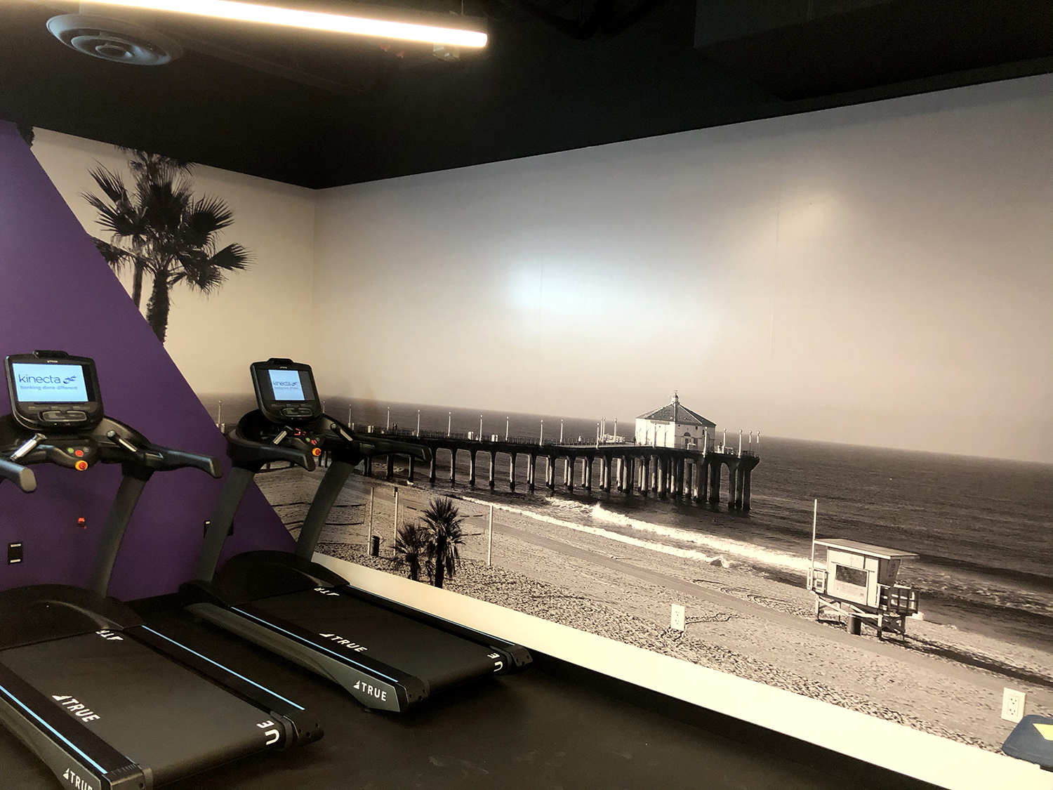 Wall mural in gym of pier stretching out into the ocean