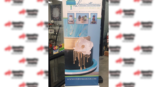 louisvillicious cakes and desserts standing banner