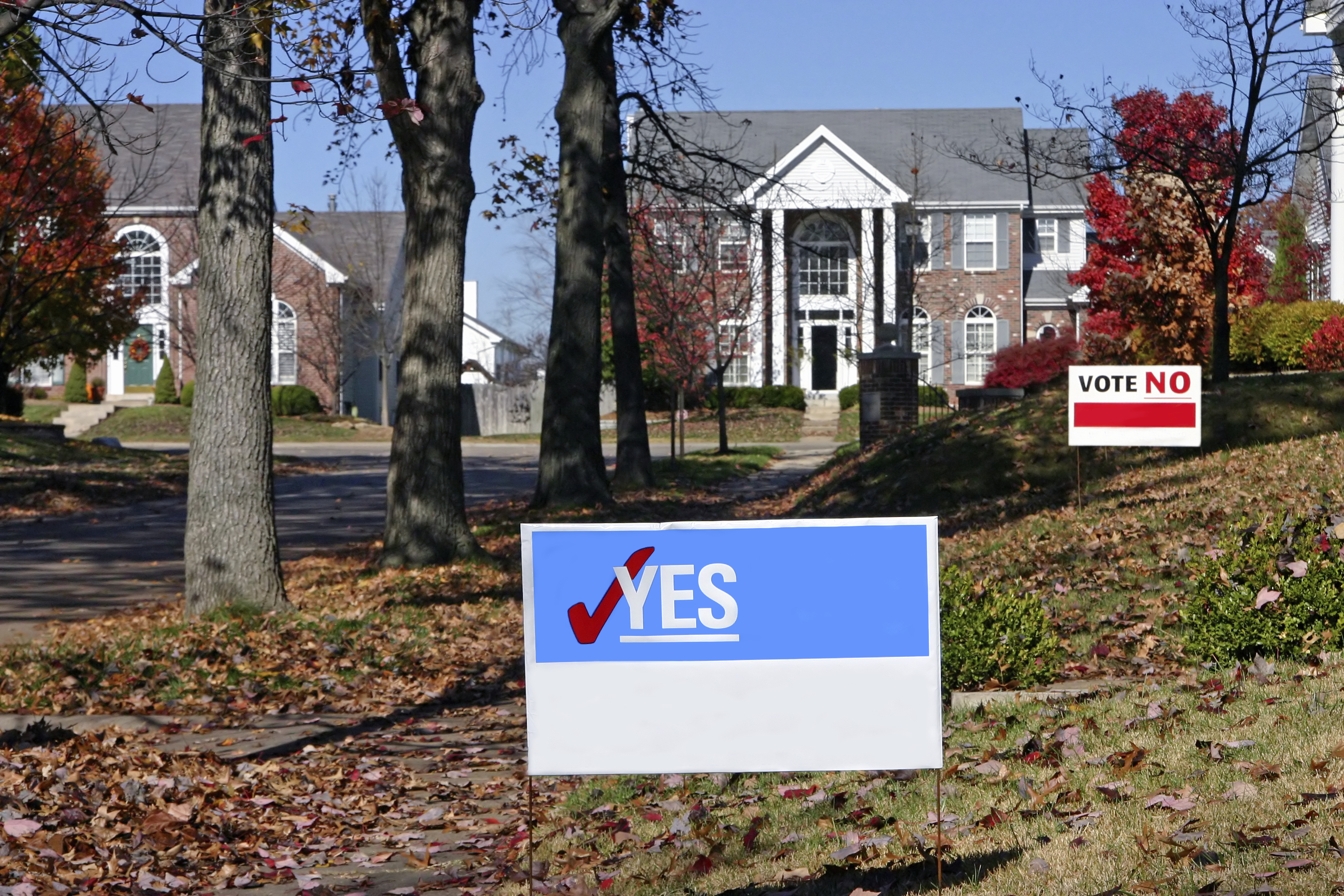 Two yard signs with one advocating for a Yes vote and the other a No vote