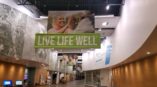 Live Life Well Large Hospital Banner