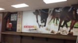 Monmouth Park Racetrack Wall Mural