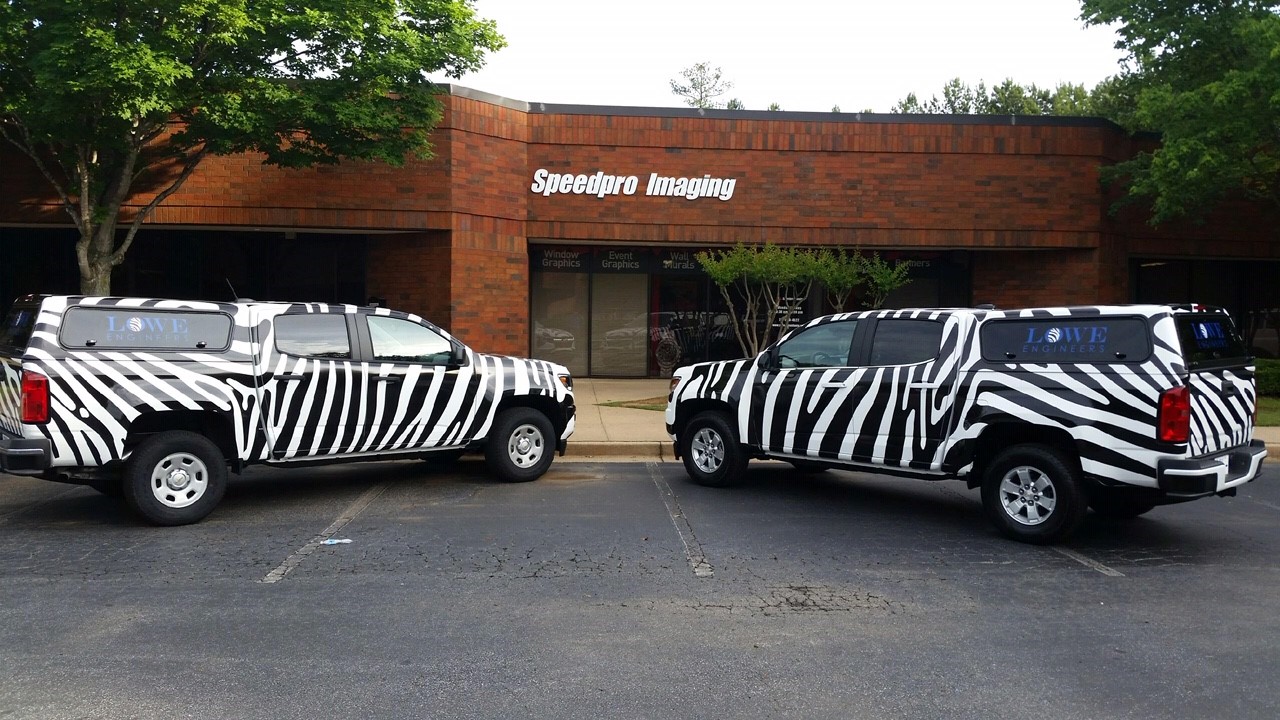 Zebra truck wrap