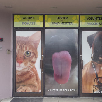 pet adoption window graphics