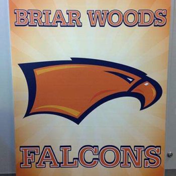 Briar Wood Falcons sport graphic