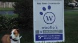 Outdoor sign graphic for dog services