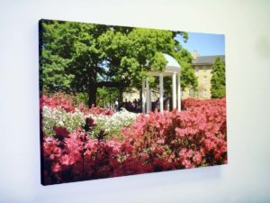 Image of a giclee canvas print, installed in Chapel Hill, NC.