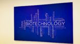 Image of large word cloud canvas wrap, installed in Durham, NC.