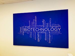 Image of large word cloud canvas wrap, installed in Durham, NC.
