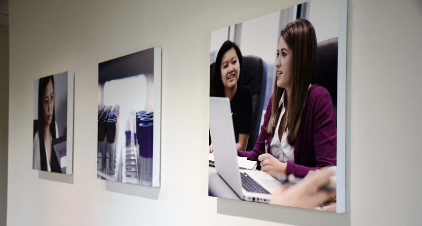 Image of a series of stretched gallery canvas wraps, installed in a conference room in Durham, NC.