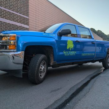 Full Vehicle Wrap