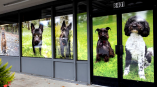 Full Color Print Window Graphics Covering Storefront